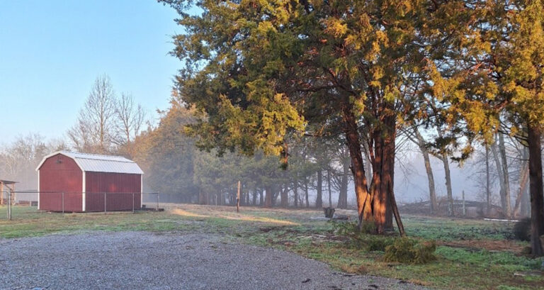 Miracle of the Farm