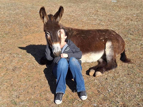 Barbara with Donkey