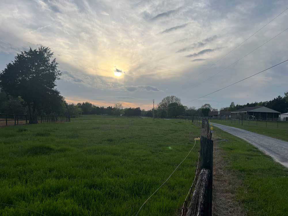 sunset at the farm