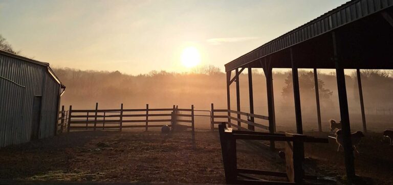 Tennessee animal interaction farm