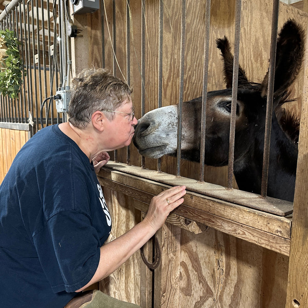 woman kissing the donkey